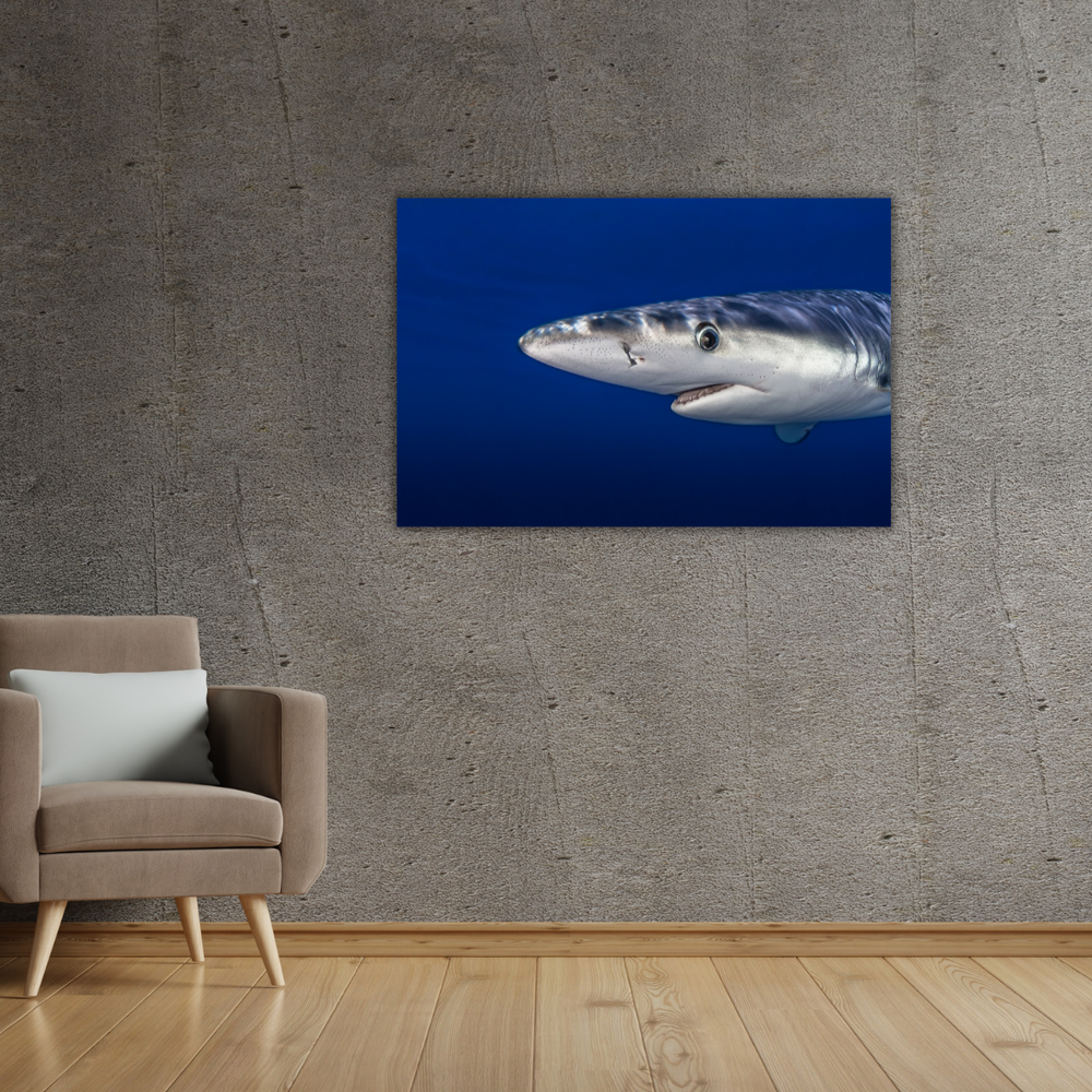 Blauhai 9.0 (Leinwandprint 60x90cm)
