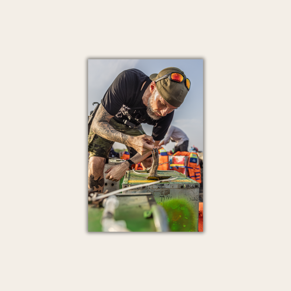 Makake in Gefangenschaft 2.0 (Leinwandprint 60x90cm)