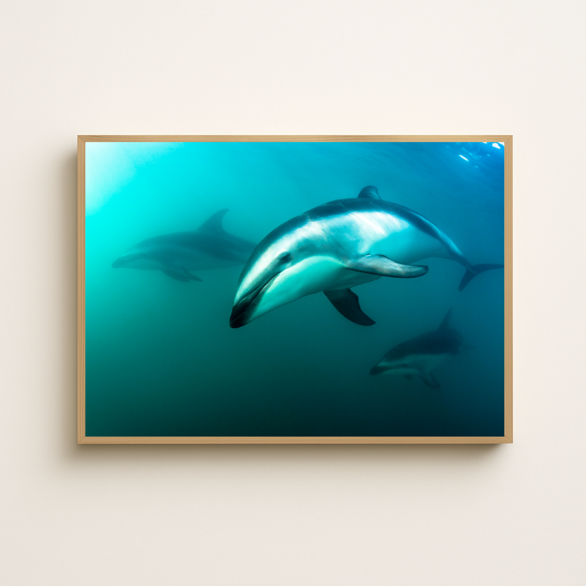 Delfine (Fine Art Print 30x45cm)