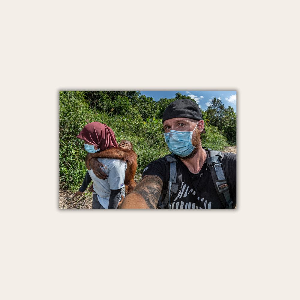 Orang-Utan Rescuecenter 4.0 (Leinwandprint 60x90cm)