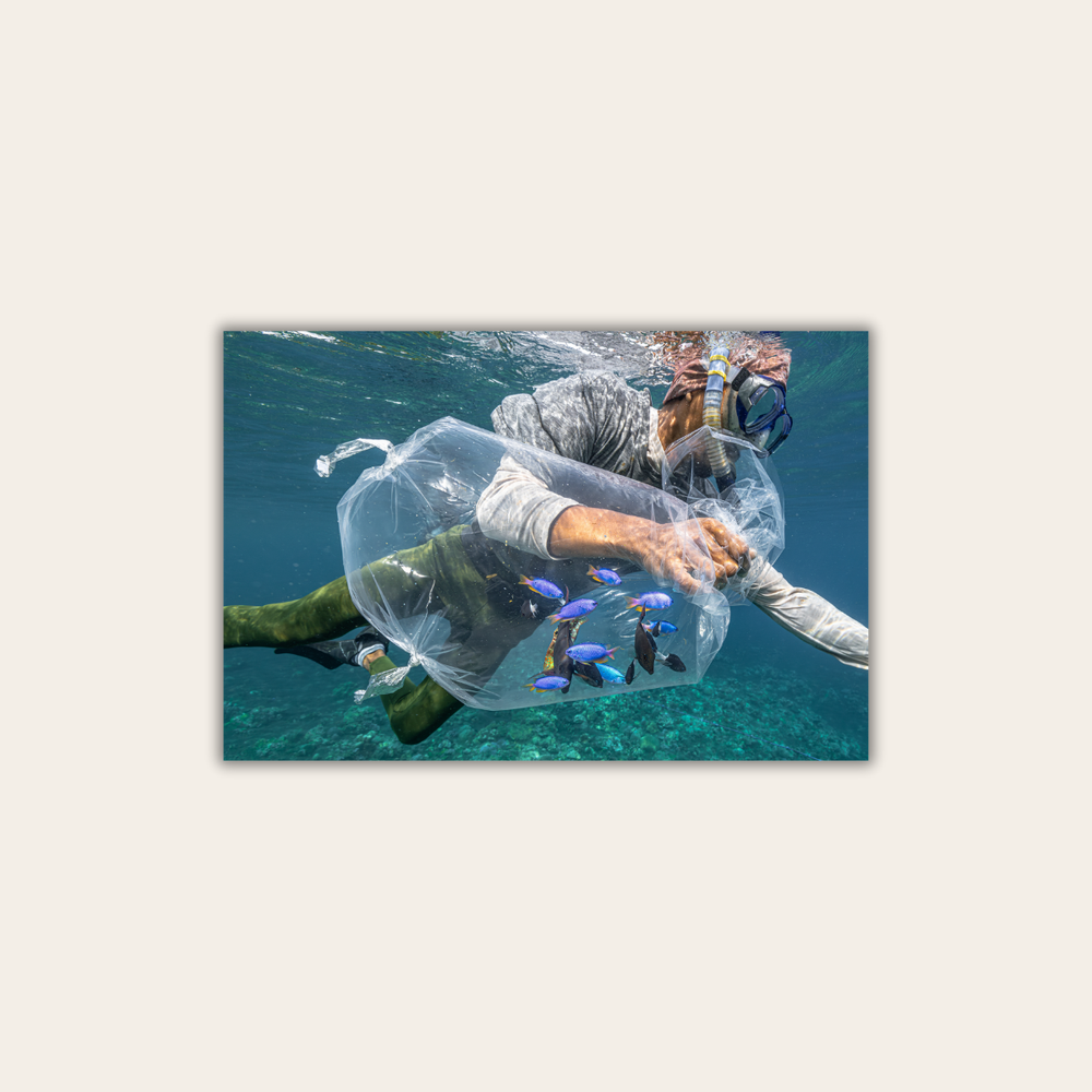 Fischfang (Leinwandprint 60x90cm)