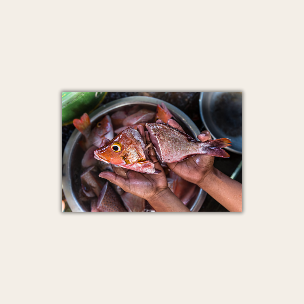 Fischerei 2.0 (Leinwandprint 60x90cm)