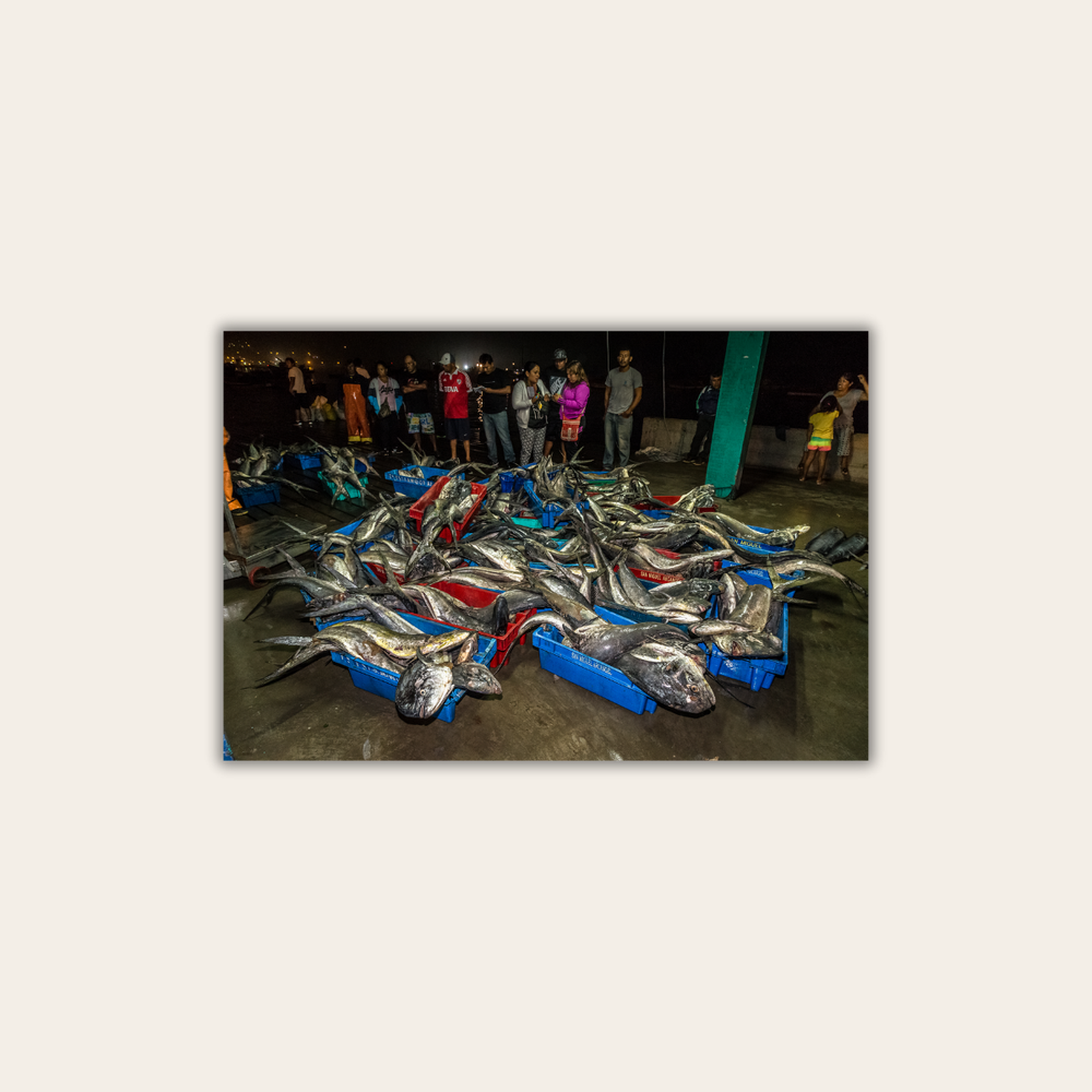 Fischmarkt (Leinwandprint 60x90cm)