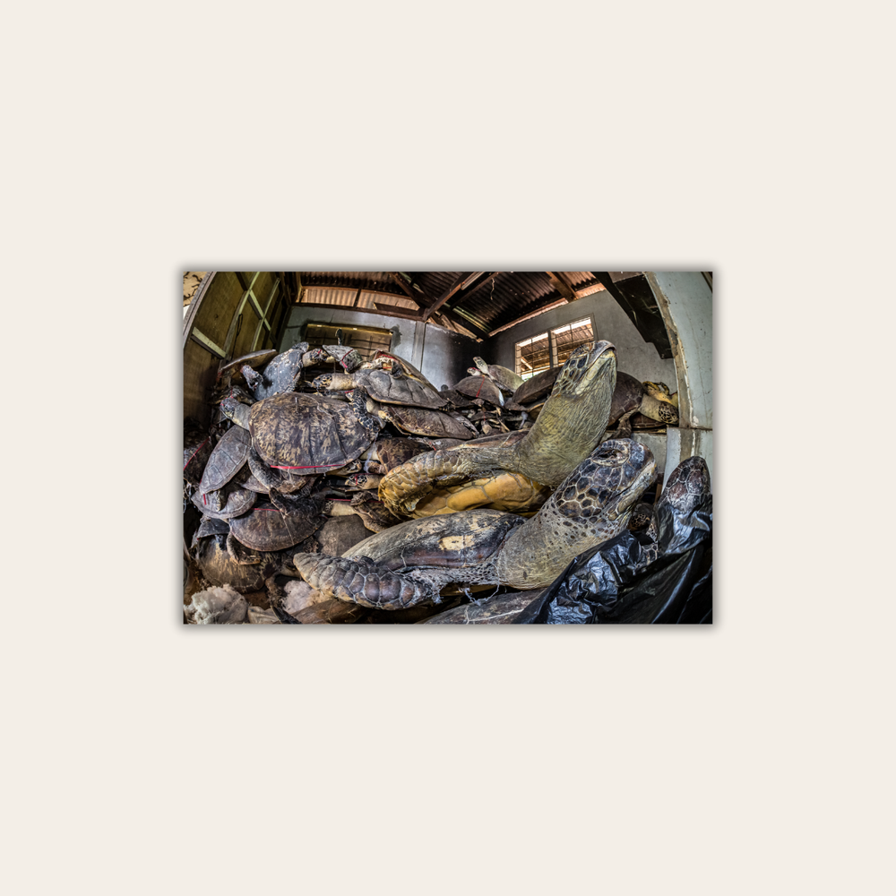 The Operatives 3.0 (Leinwandprint 60x90cm)