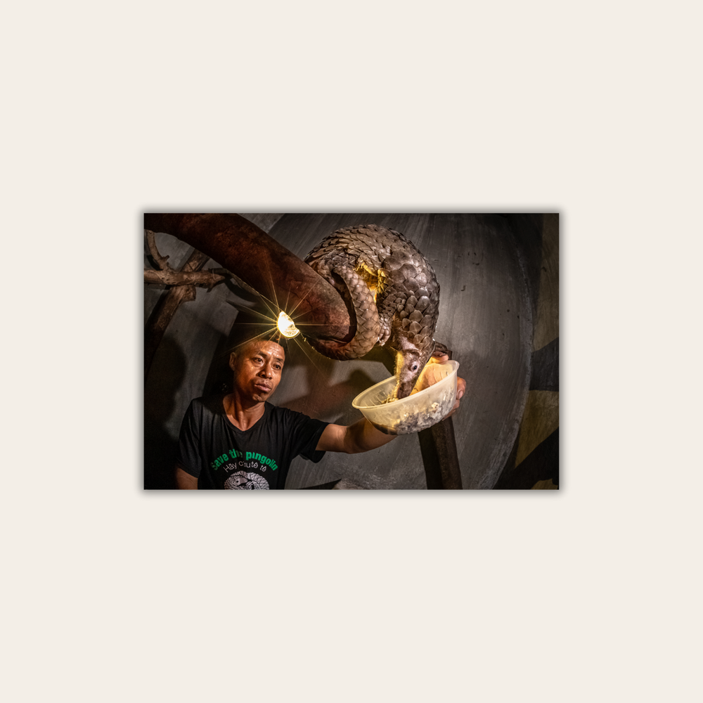 Wildtierhandel 4.0 (Leinwandprint 60x90cm)