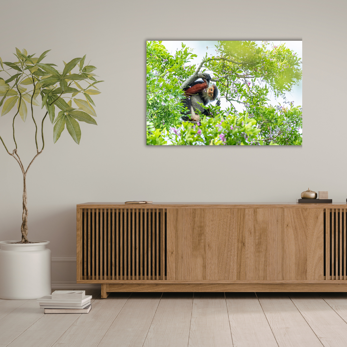 Rotschenkliger Kleideraffe (Leinwandprint 60x90cm)