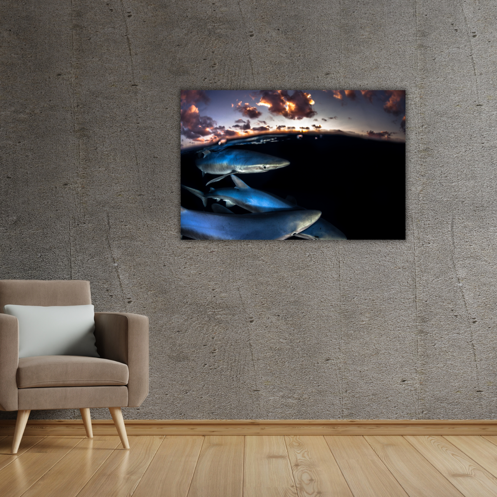 Blauhai 10.0 (Leinwandprint 60x90cm)