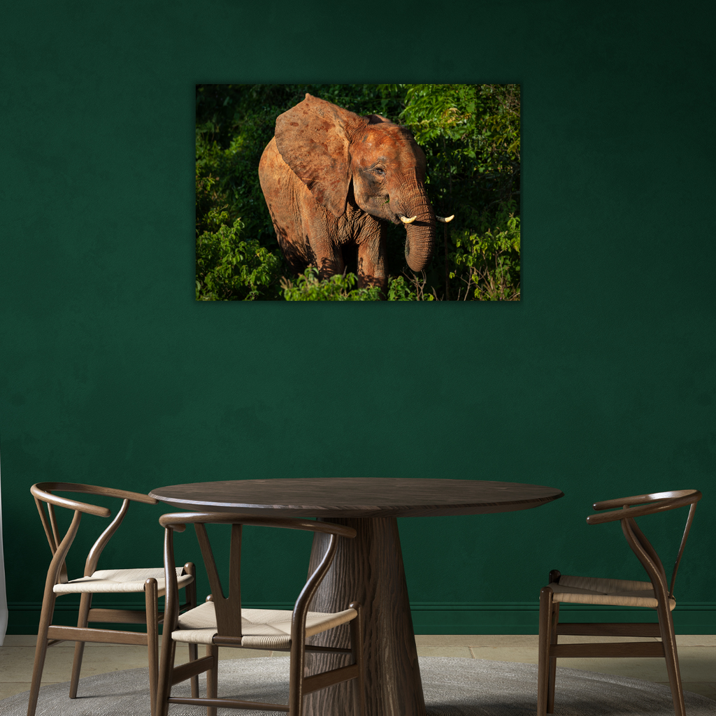 Wald Elefant (Leinwandprint 60x90cm)