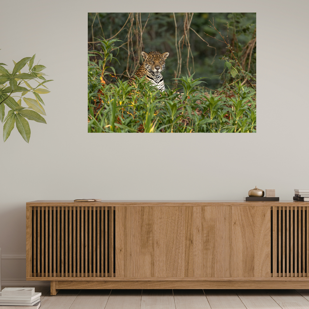 Jaguar 2.0 (Leinwandprint 60x90cm)