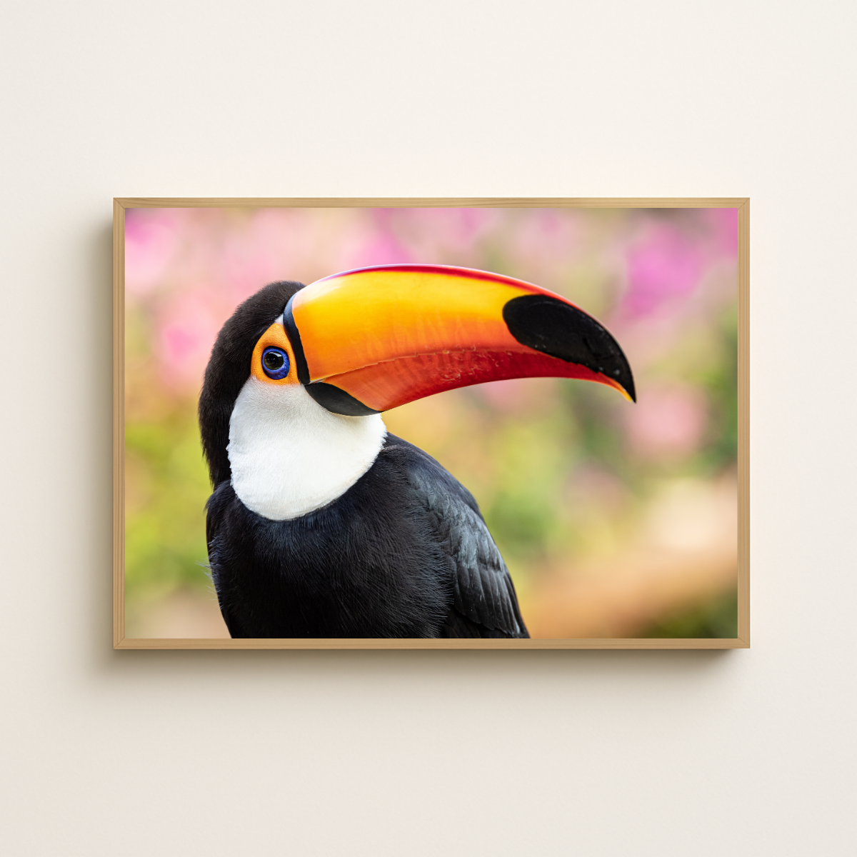 Tukan (Fine Art Print 30x45cm)