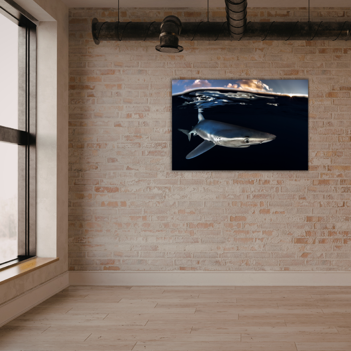 Blauhai 12.0 (Leinwandprint 60x90cm)
