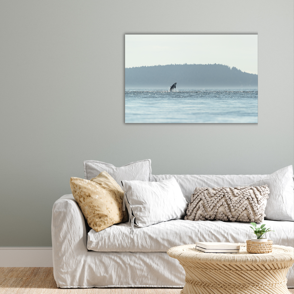 Orca im Sprung (Leinwandprint 60x90cm)