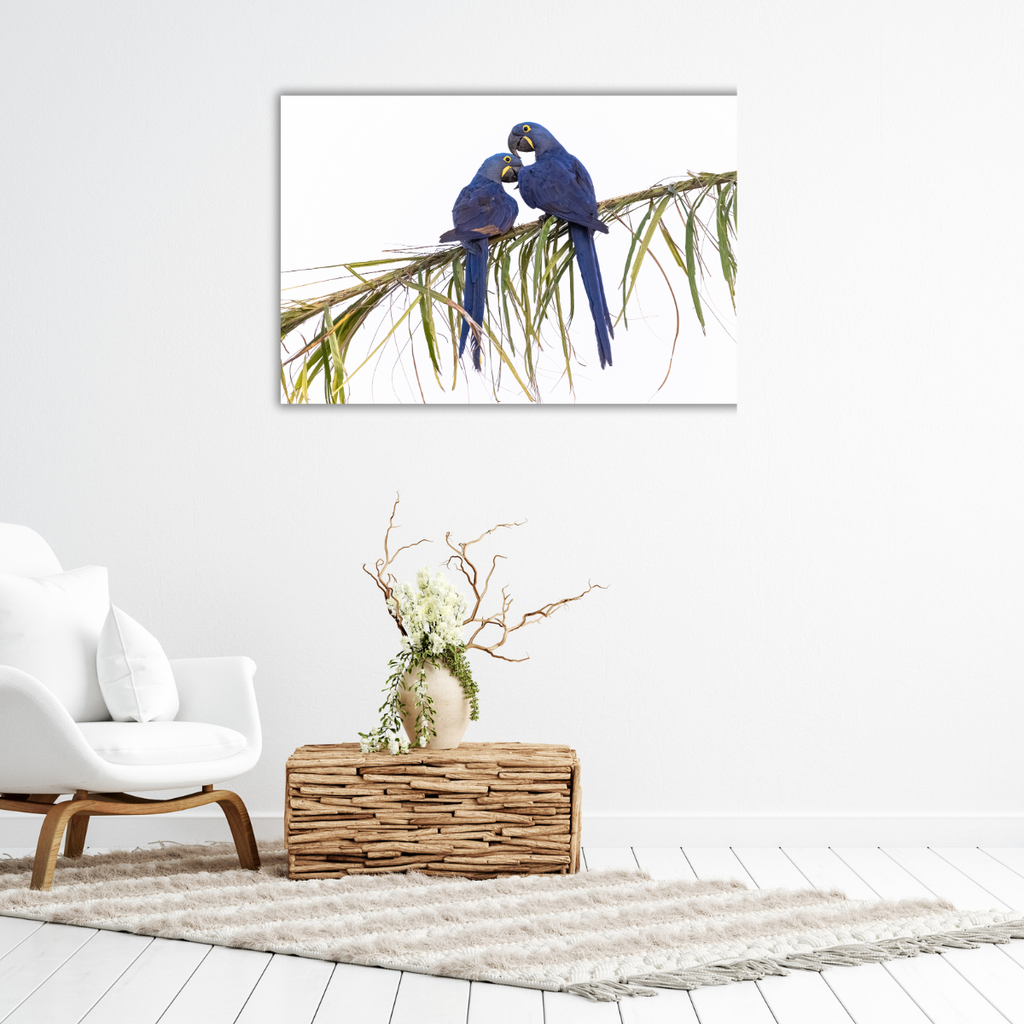 Papageienpaar (Leinwandprint 60x90cm)