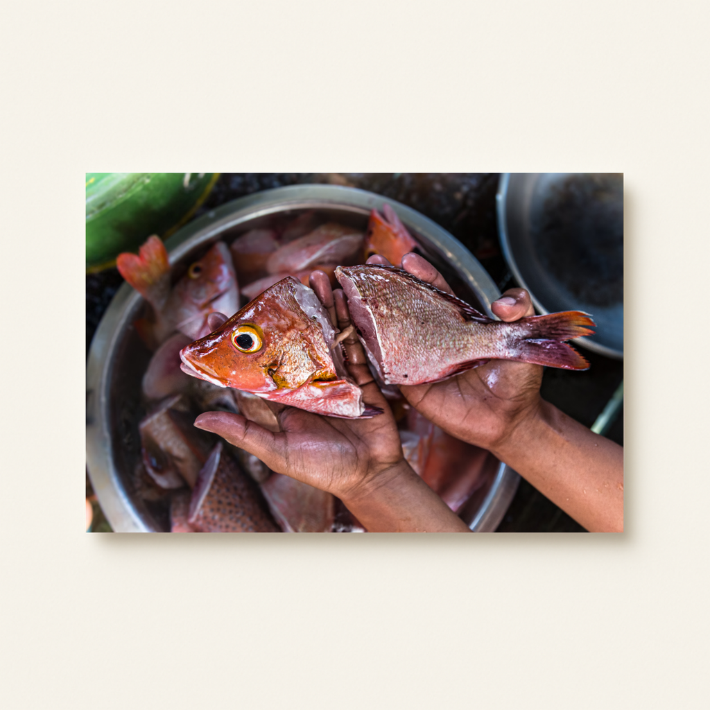 Fischerei 2.0 (Leinwandprint 60x90cm)