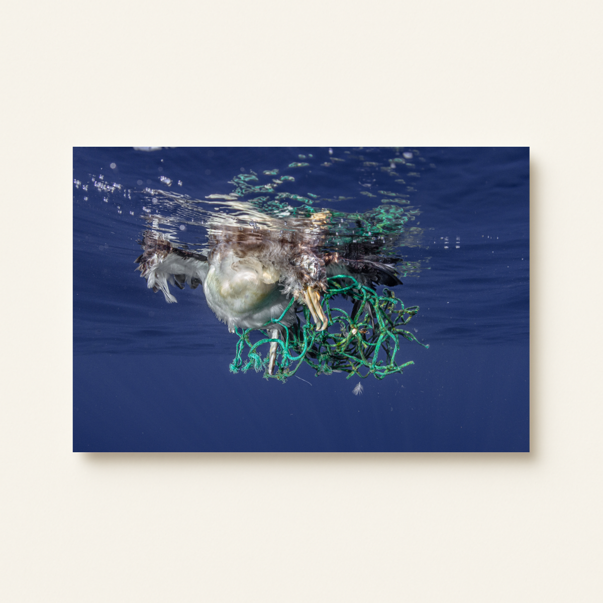 Fischerei 3.0 (Leinwandprint 60x90cm)