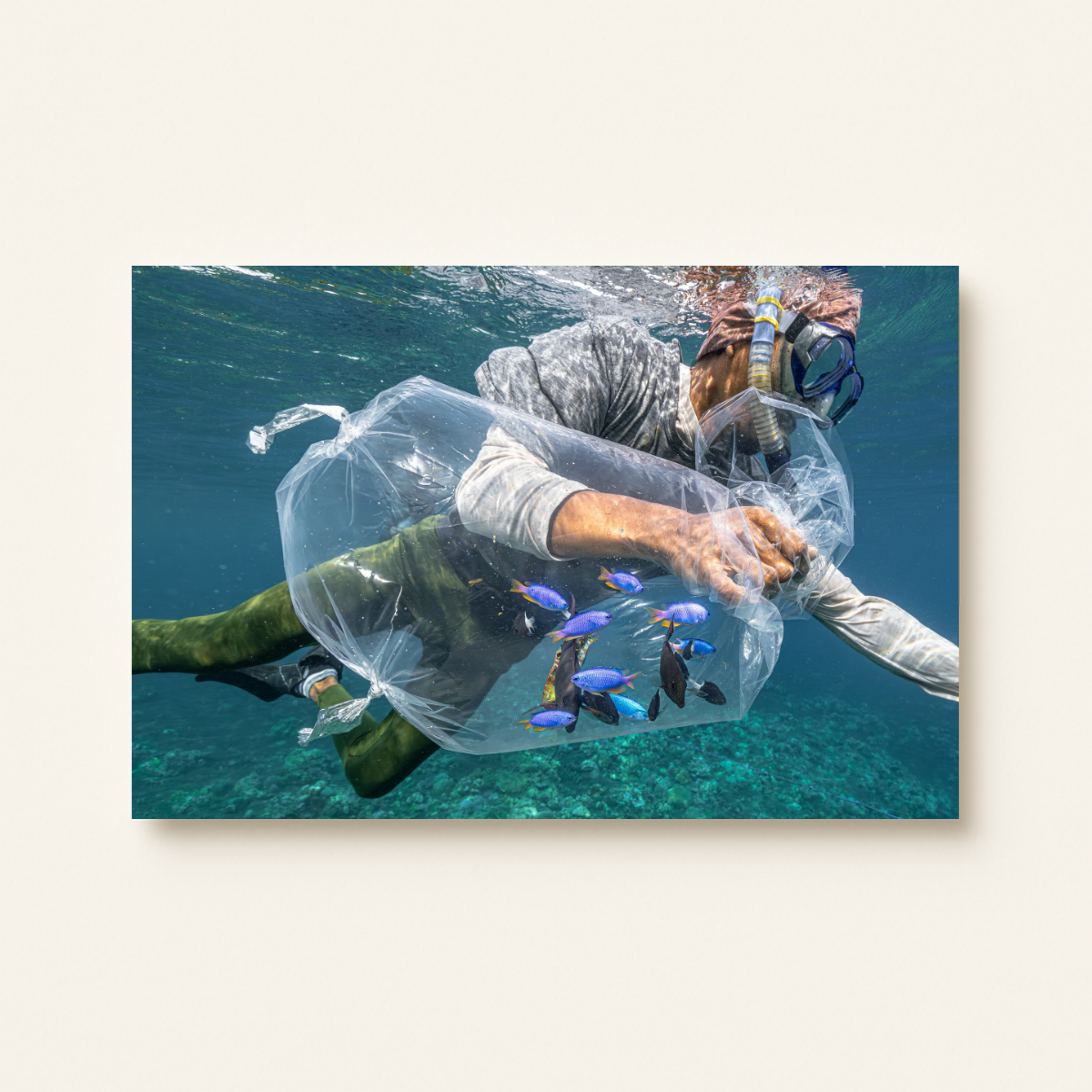 Fischfang (Leinwandprint 60x90cm)