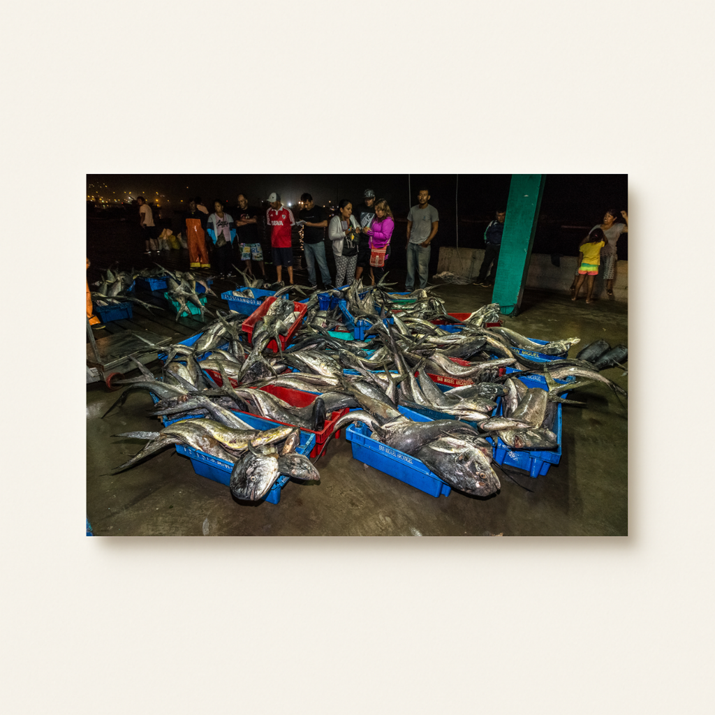 Fischmarkt (Leinwandprint 60x90cm)