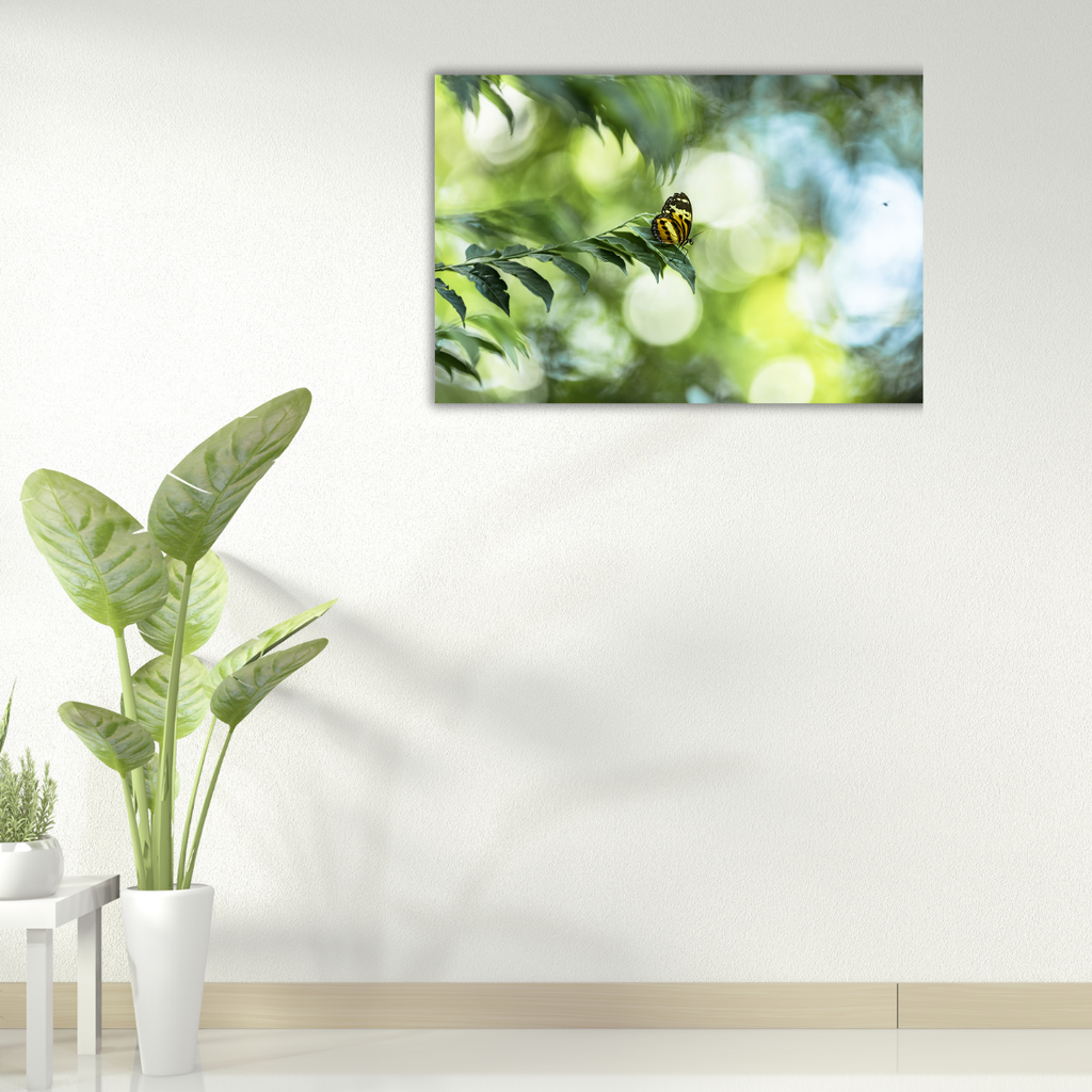 Schmetterling (Leinwandprint 60x90cm)