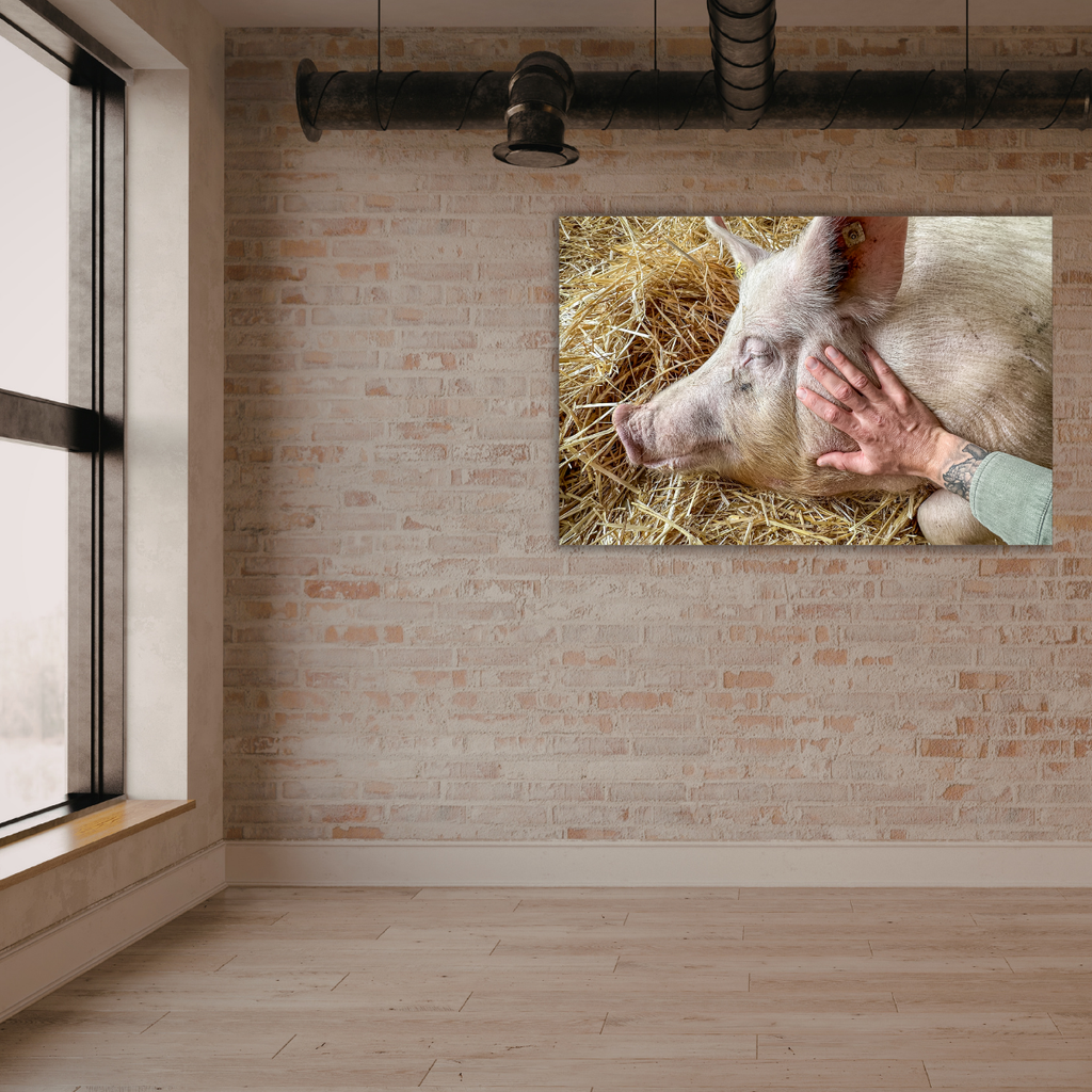 Bibi (Leinwandprint 60x90cm)