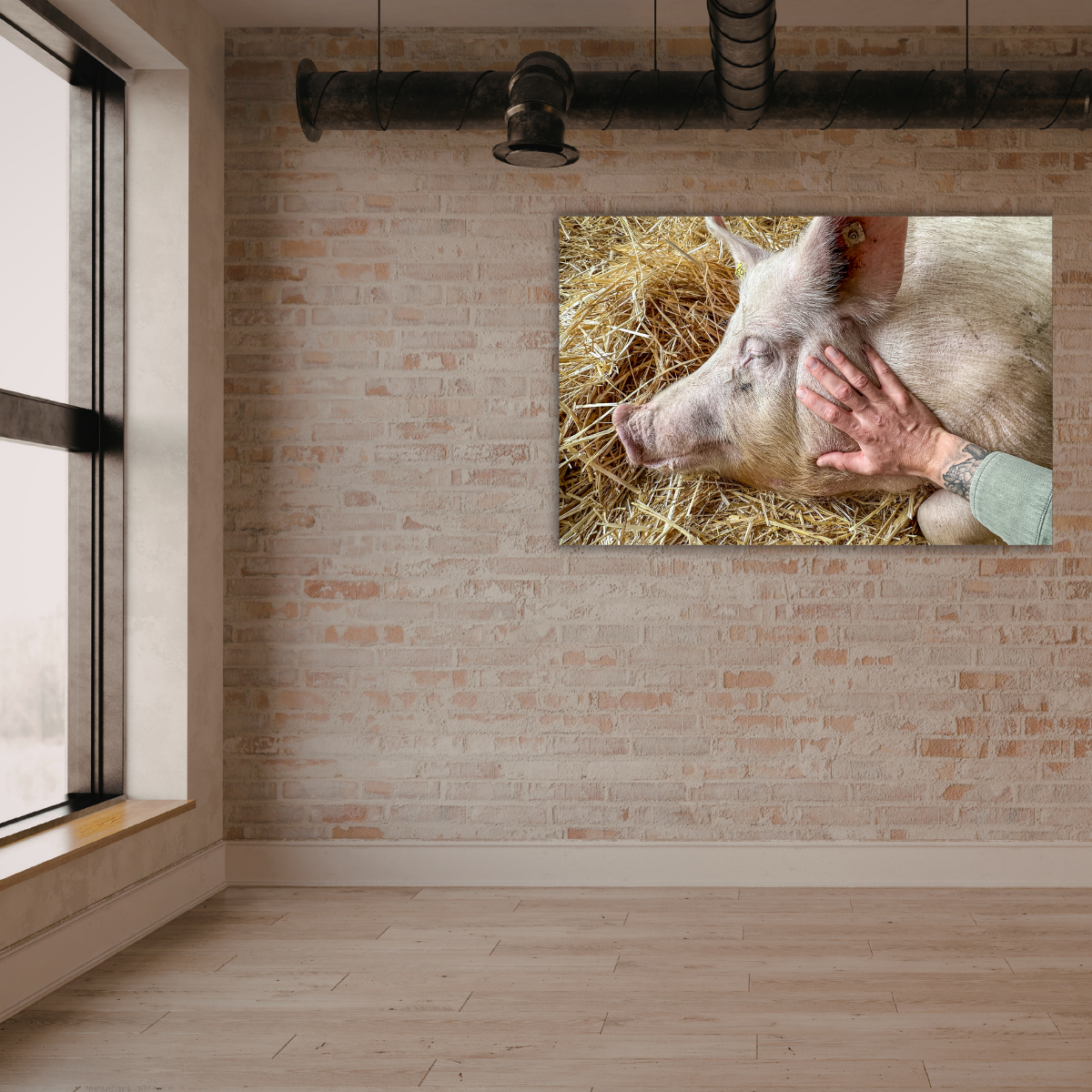 Bibi (Leinwandprint 60x90cm)