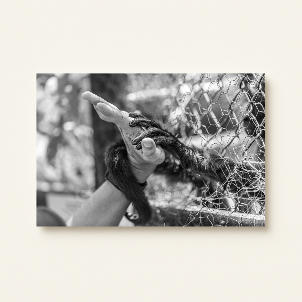 Freedom (Leinwandprint 60x90cm)