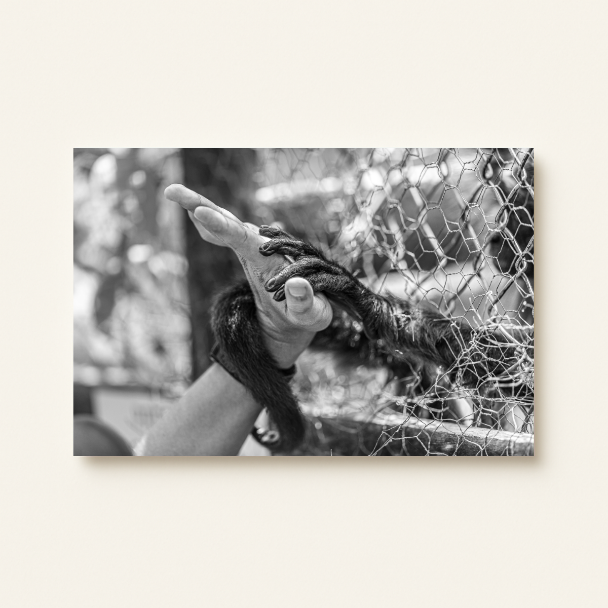 Freedom (Leinwandprint 60x90cm)