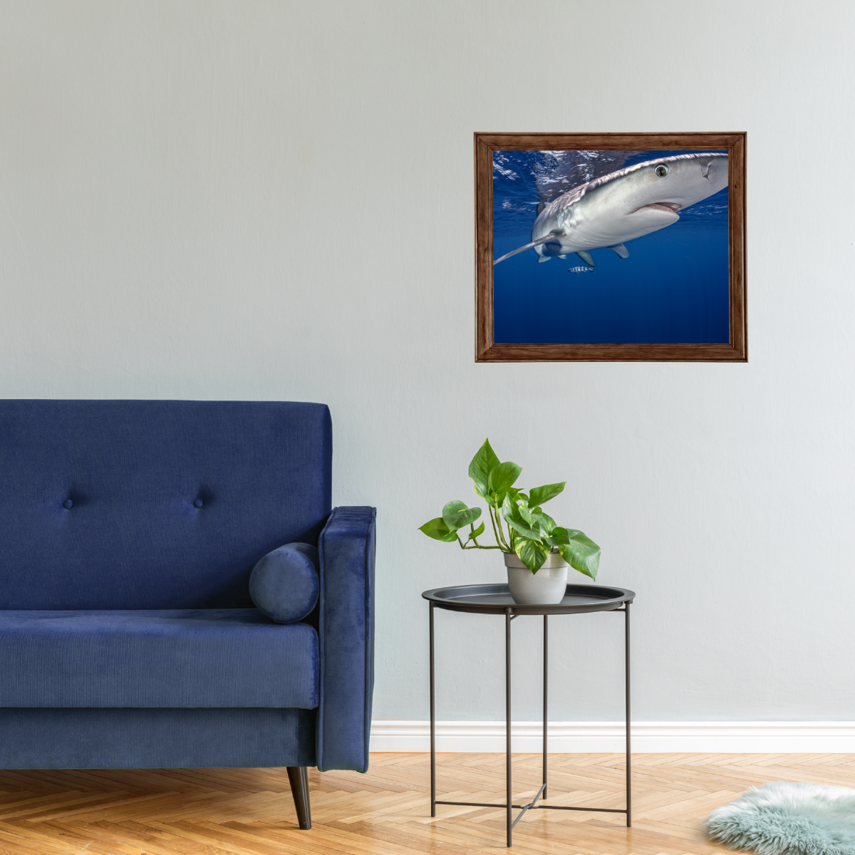 Blauhai 12.0 (Fine Art Print 30x45cm)