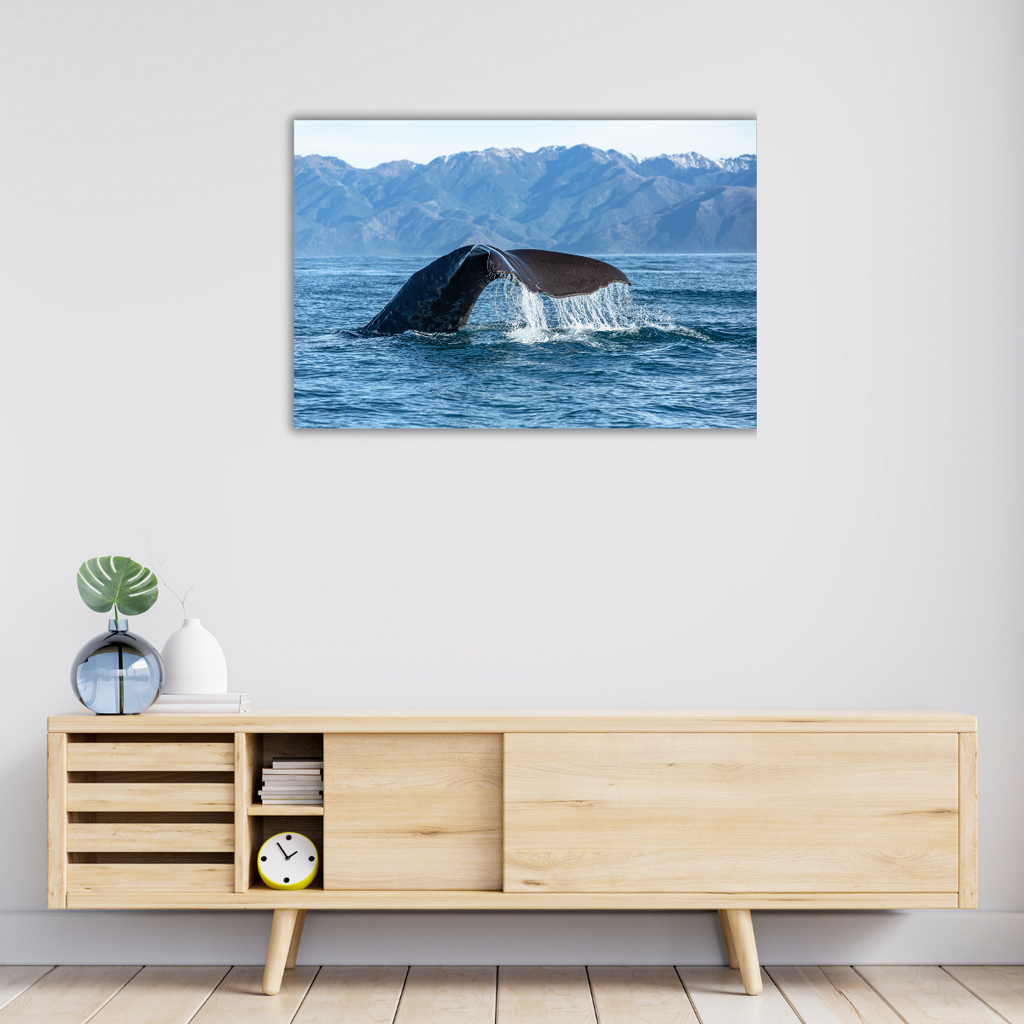 Pottwal-Fluke Neuseeland (Leinwandprint 60x90cm)
