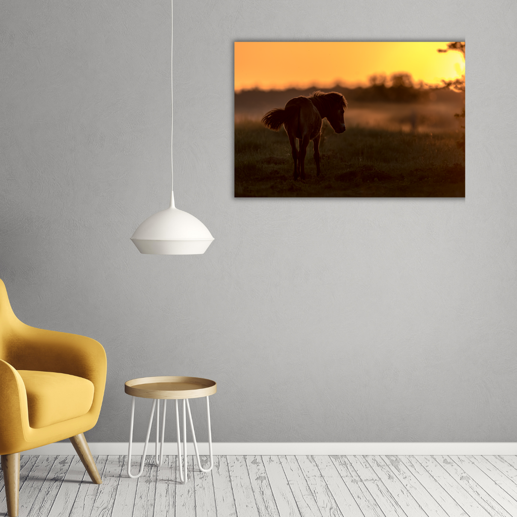 Wildpferd im Sonnenuntergang (Leinwandprint 60x90cm)