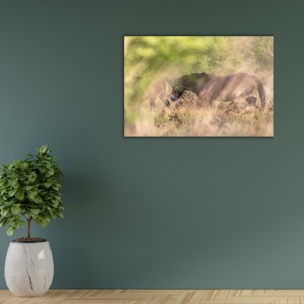 Wildpferd (Leinwandprint 60x90cm)