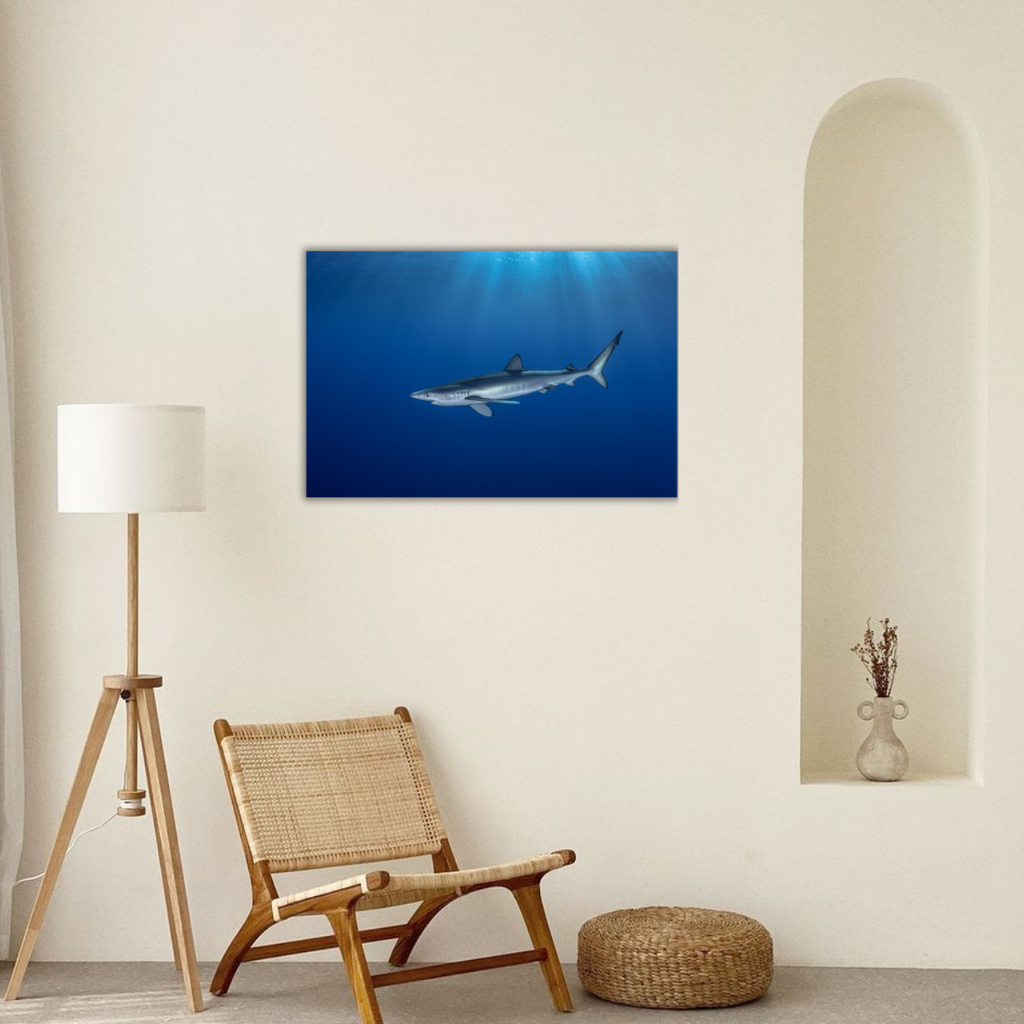 Blauhai 7.0 (Leinwandprint 60x90cm)