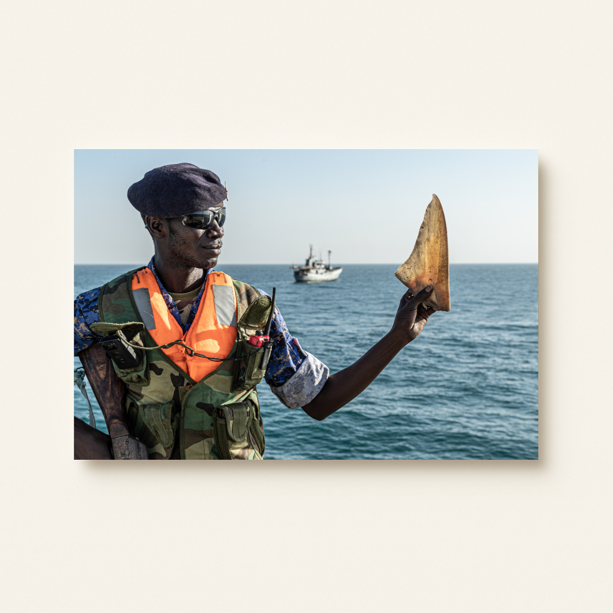 Haiflosse (Leinwandprint 60x90cm)