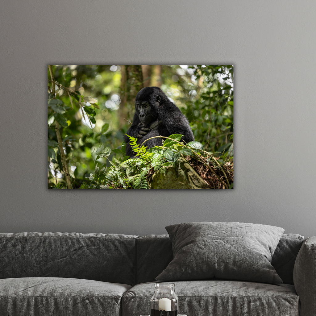 Berggorilla (Leinwandprint 60x90cm)