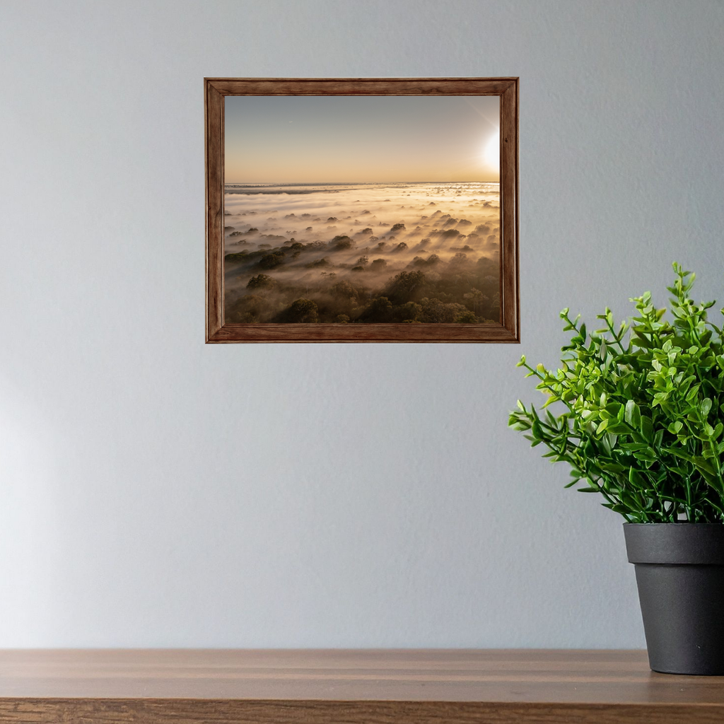 Mission Erde Regenwald 2.0 (Fine Art Print 30x45cm)