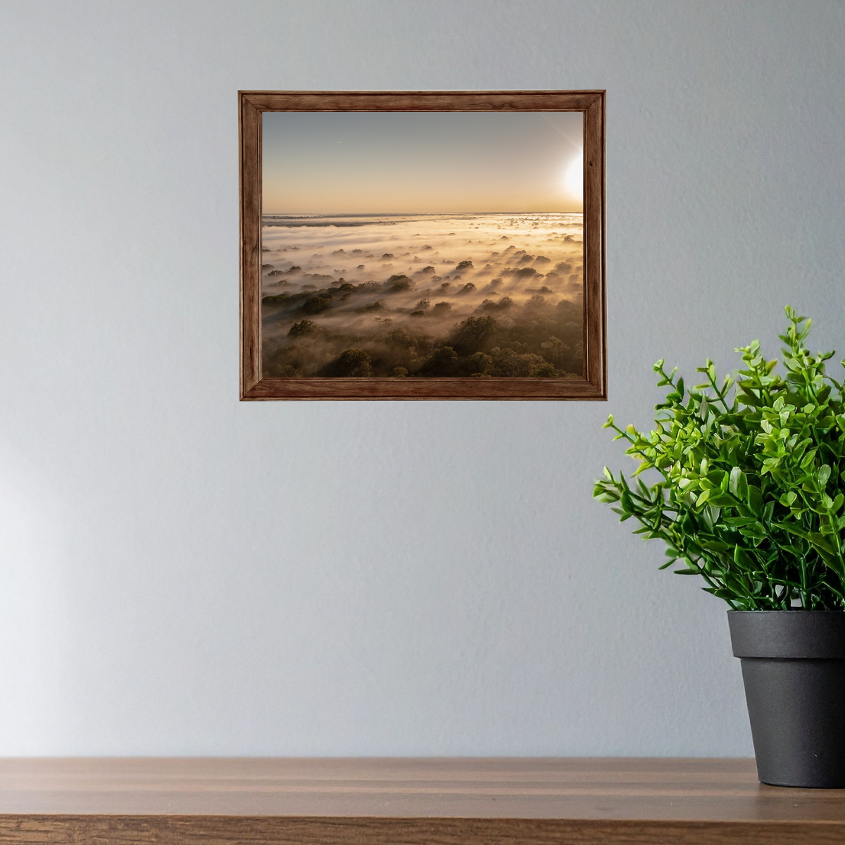 Mission Erde Regenwald 2.0 (Fine Art Print 30x45cm)