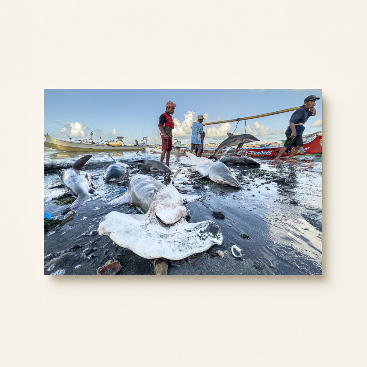 Haimarkt 2.0 (Leinwandprint 60x90cm)
