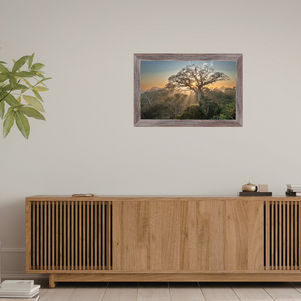 Peru Baum (Fine Art Print 30x45cm)