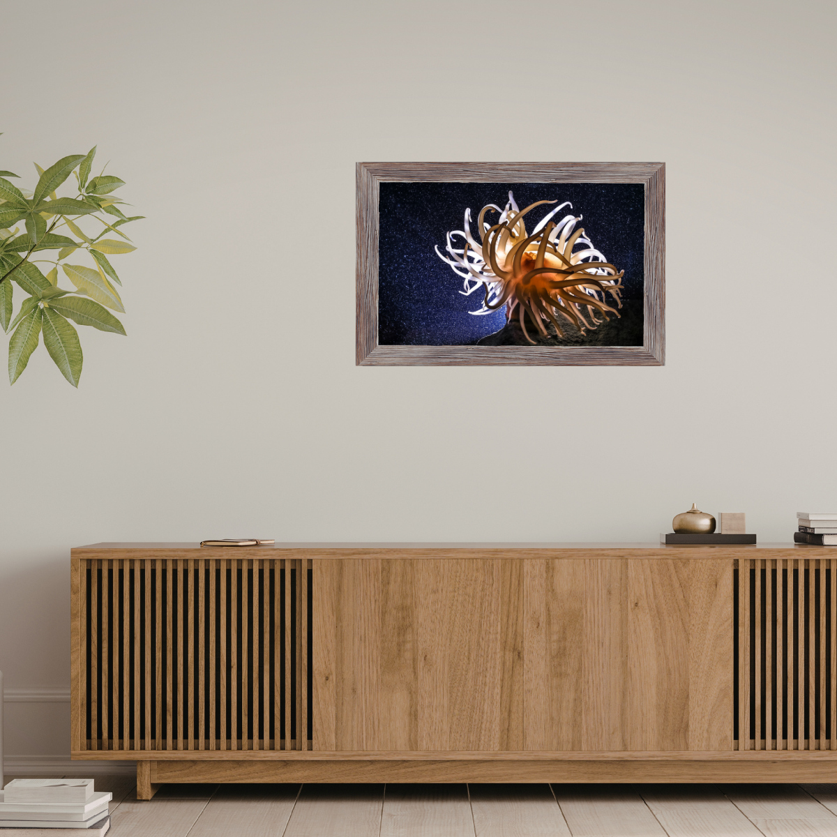 Anemone (Fine Art Print 30x45cm)