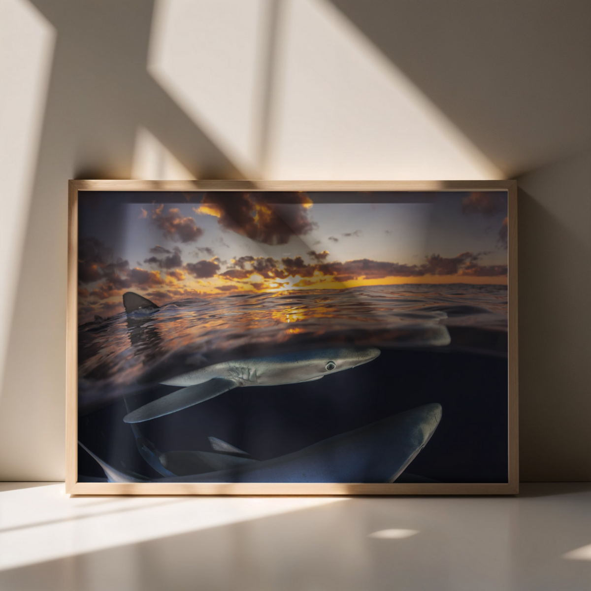 Blauhaie (Fine Art Print 30x45cm)