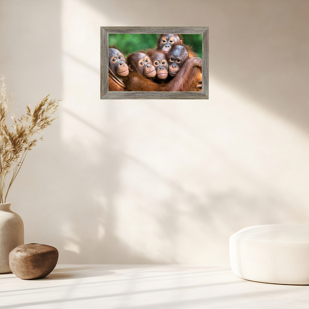 Orang-Utans (Fine Art Print 30x45cm)