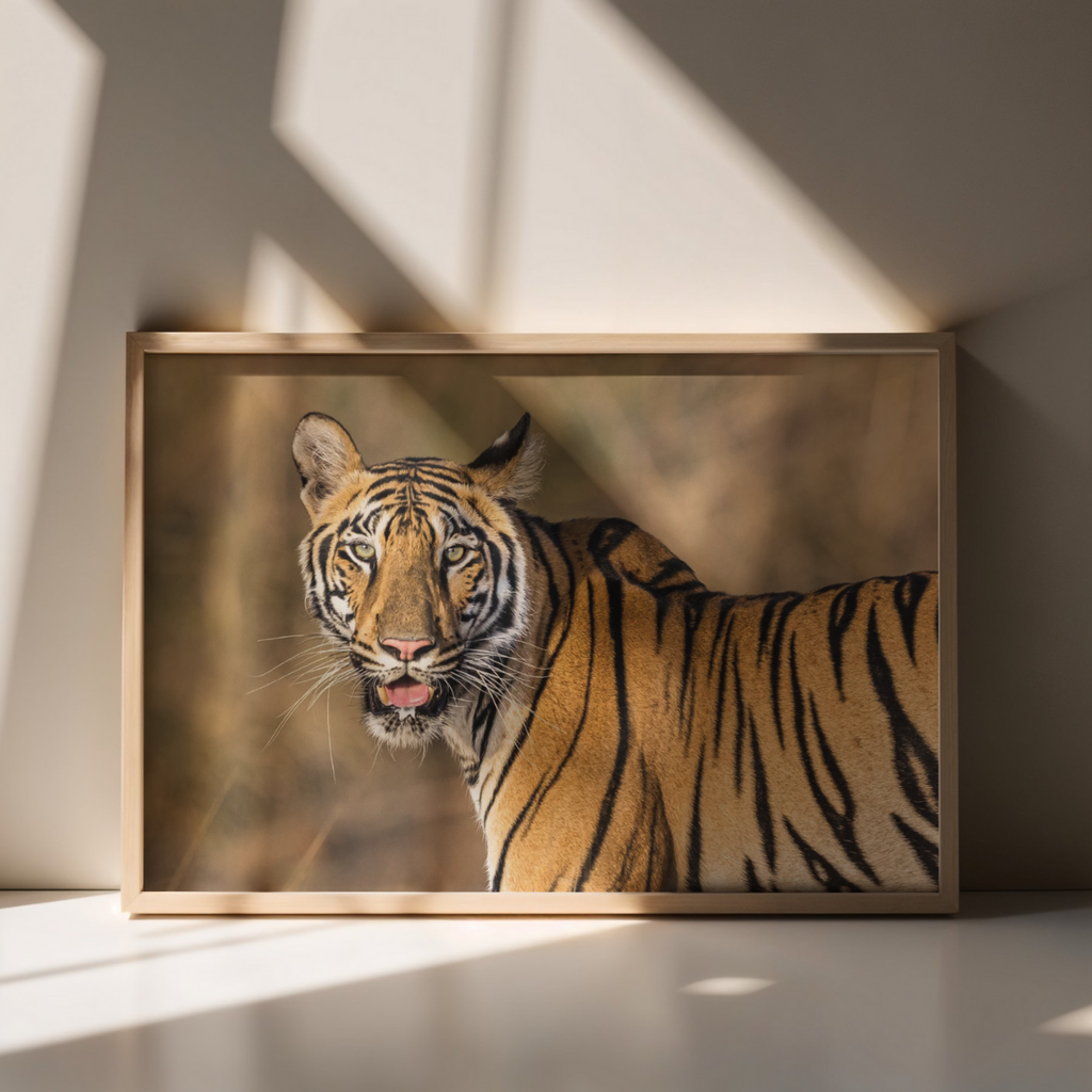 Königstiger (Fine Art Print 30x45cm)
