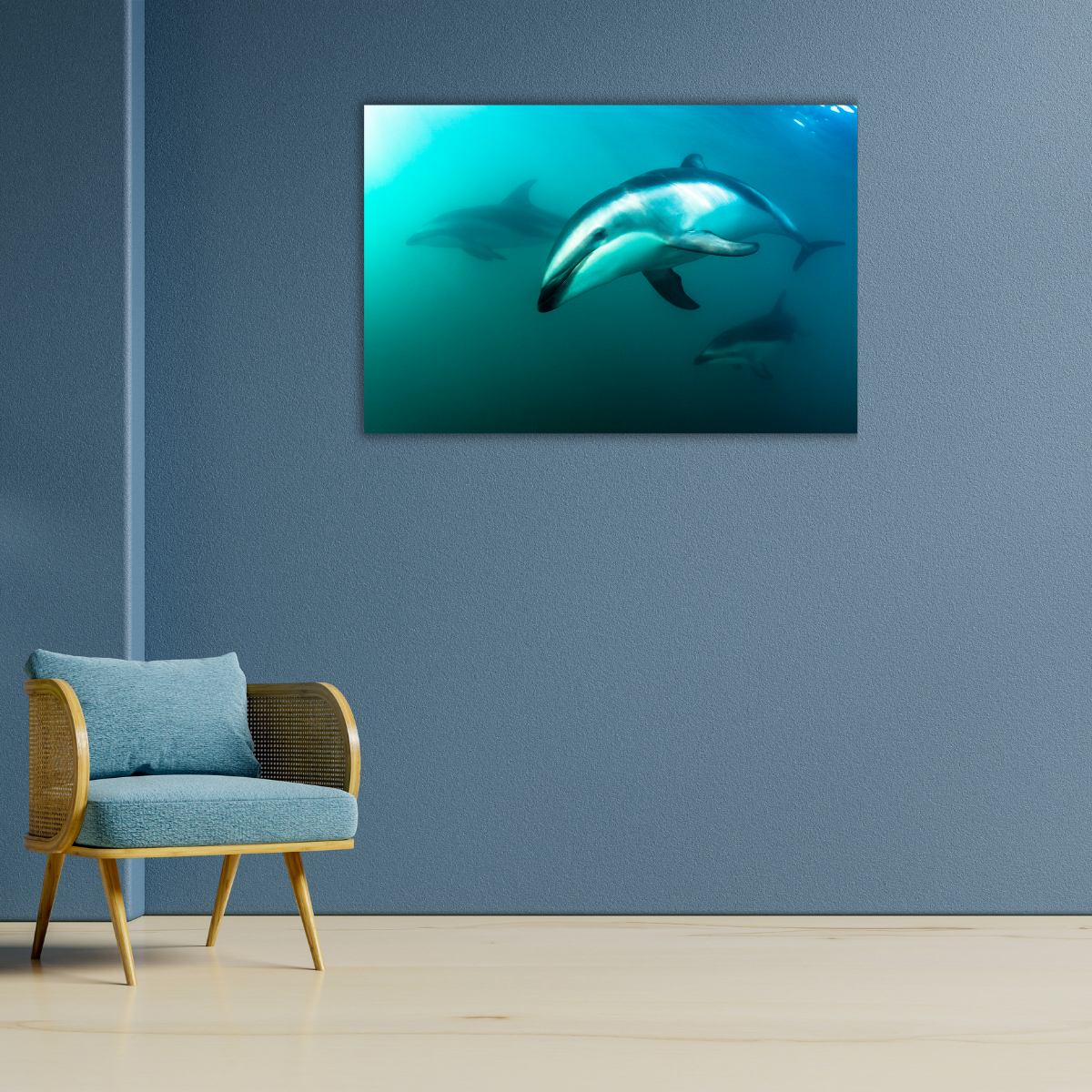 Delfine (Leinwandprint 60x90cm)