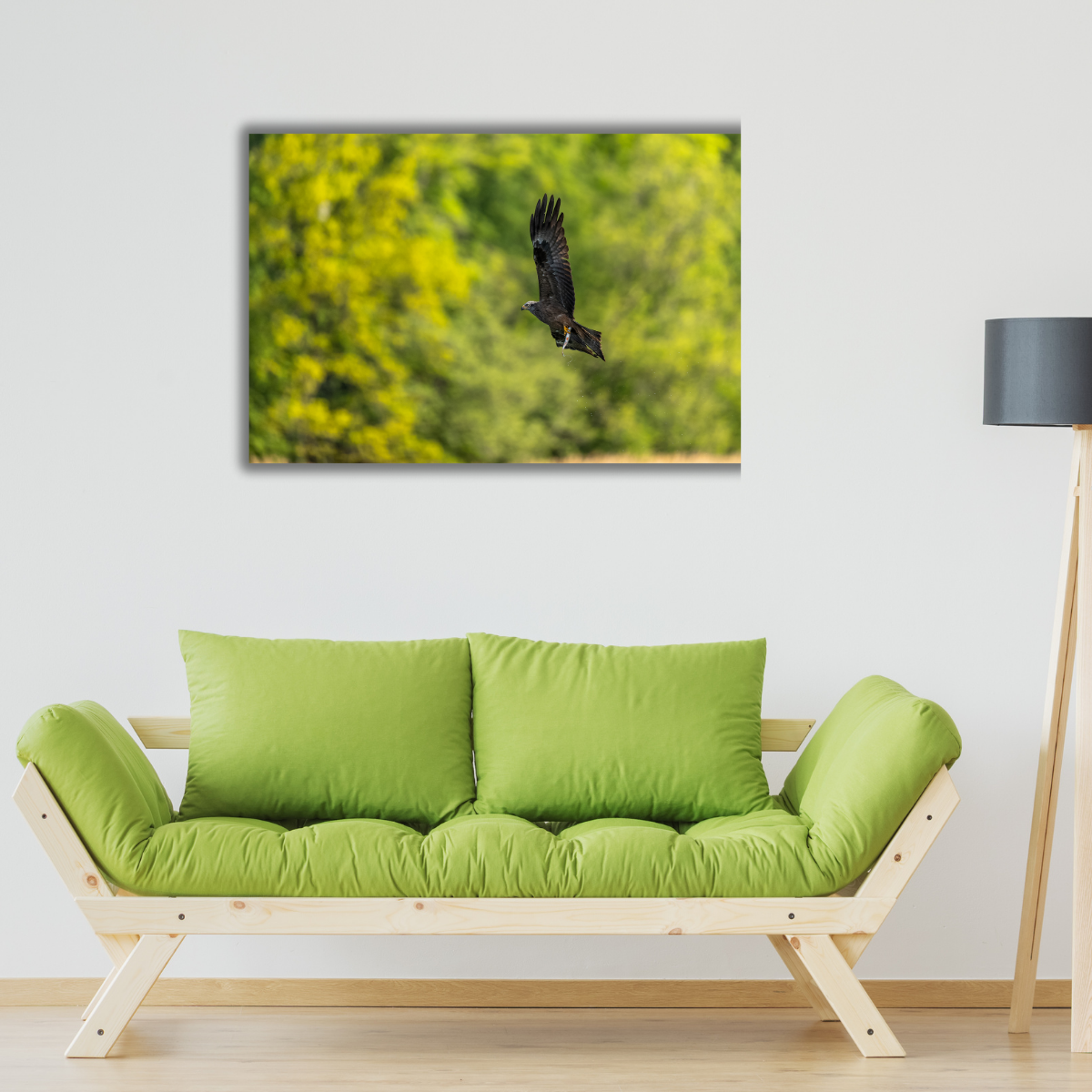 Schwarzmilan (Leinwandprint 60x90cm)