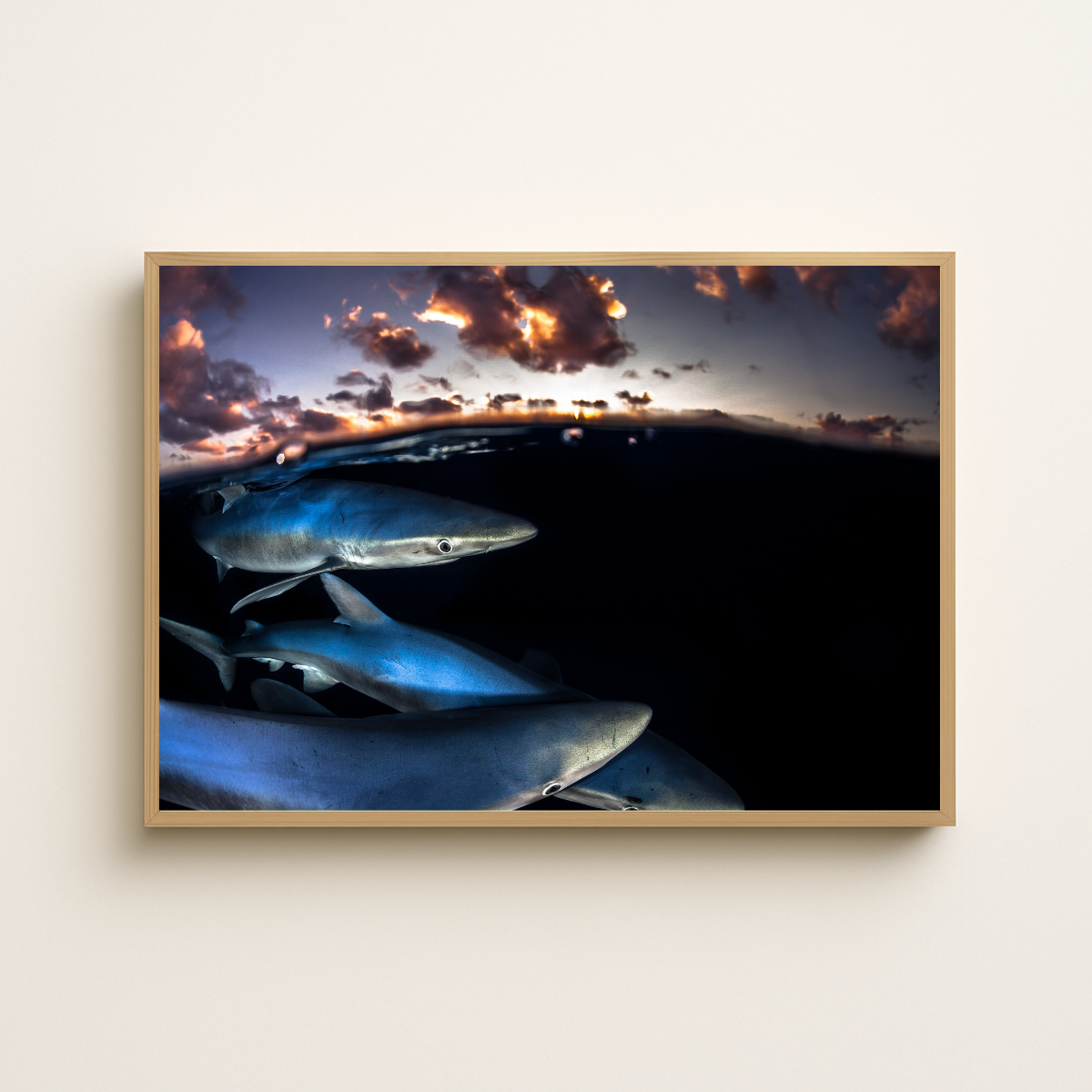 Blauhai 10.0 (Fine Art Print 30x45cm)