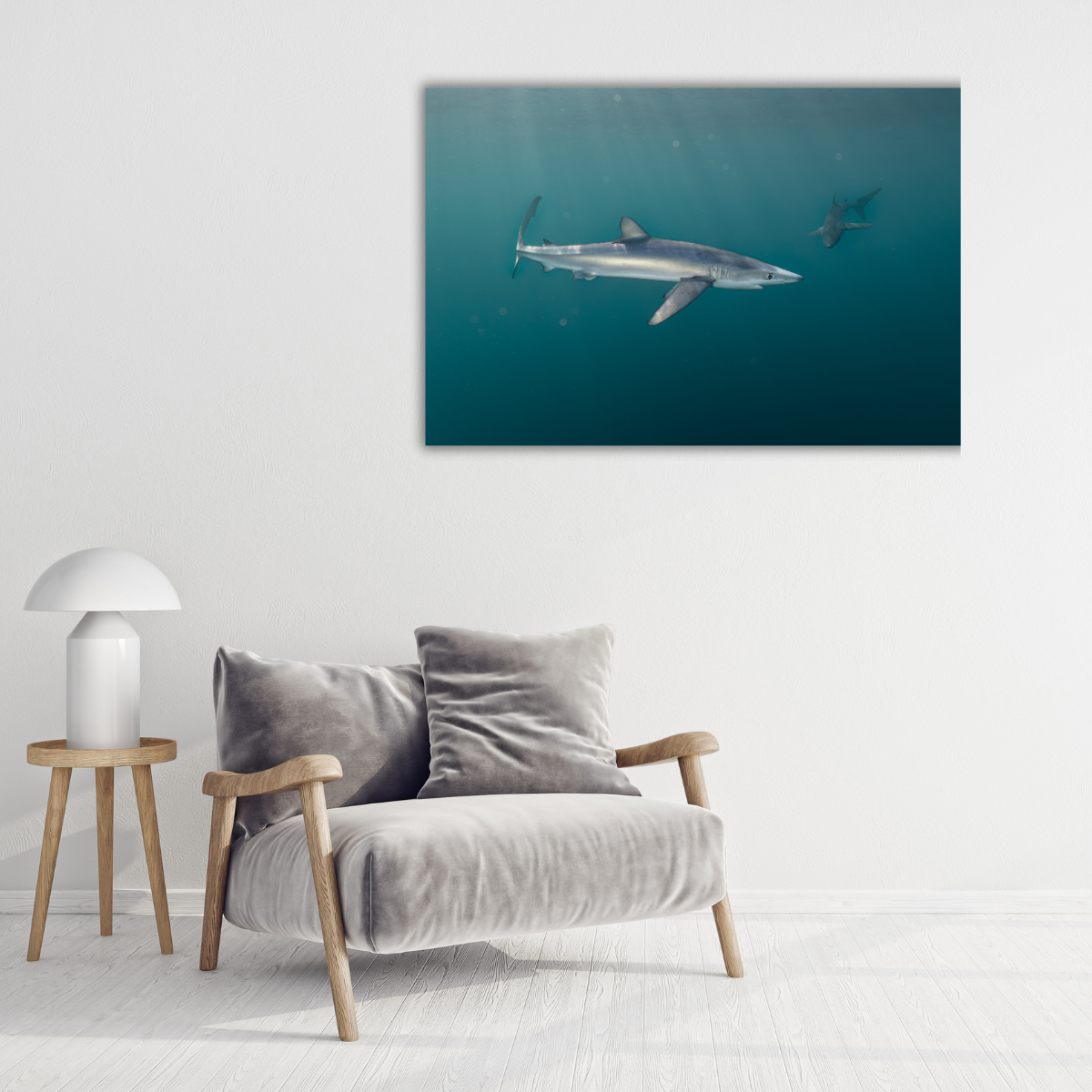 Blauhai 5.0 (Leinwandprint 60x90cm)