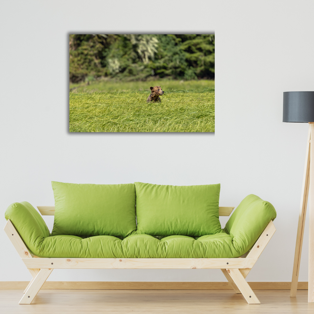 Grizzly im Süßgras 2.0 (Leinwandprint 60x90cm)