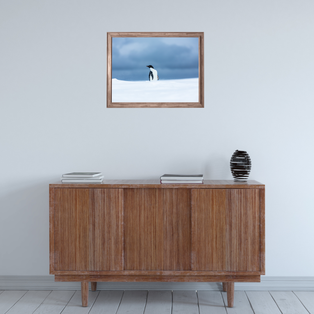 Adeliepinguin (Fine Art Print 30x45cm)