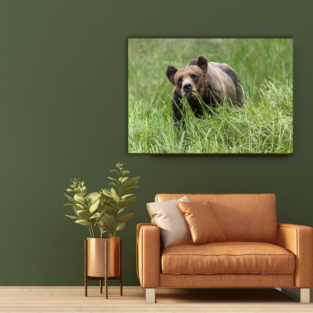 Grizzlybär (Leinwandprint 60x90cm)