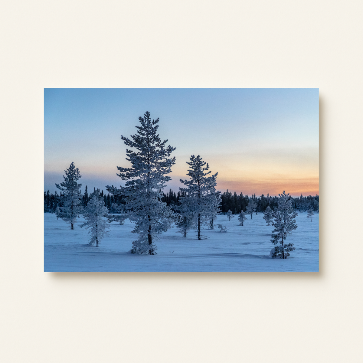 Lappland (Leinwandprint 60x90cm)