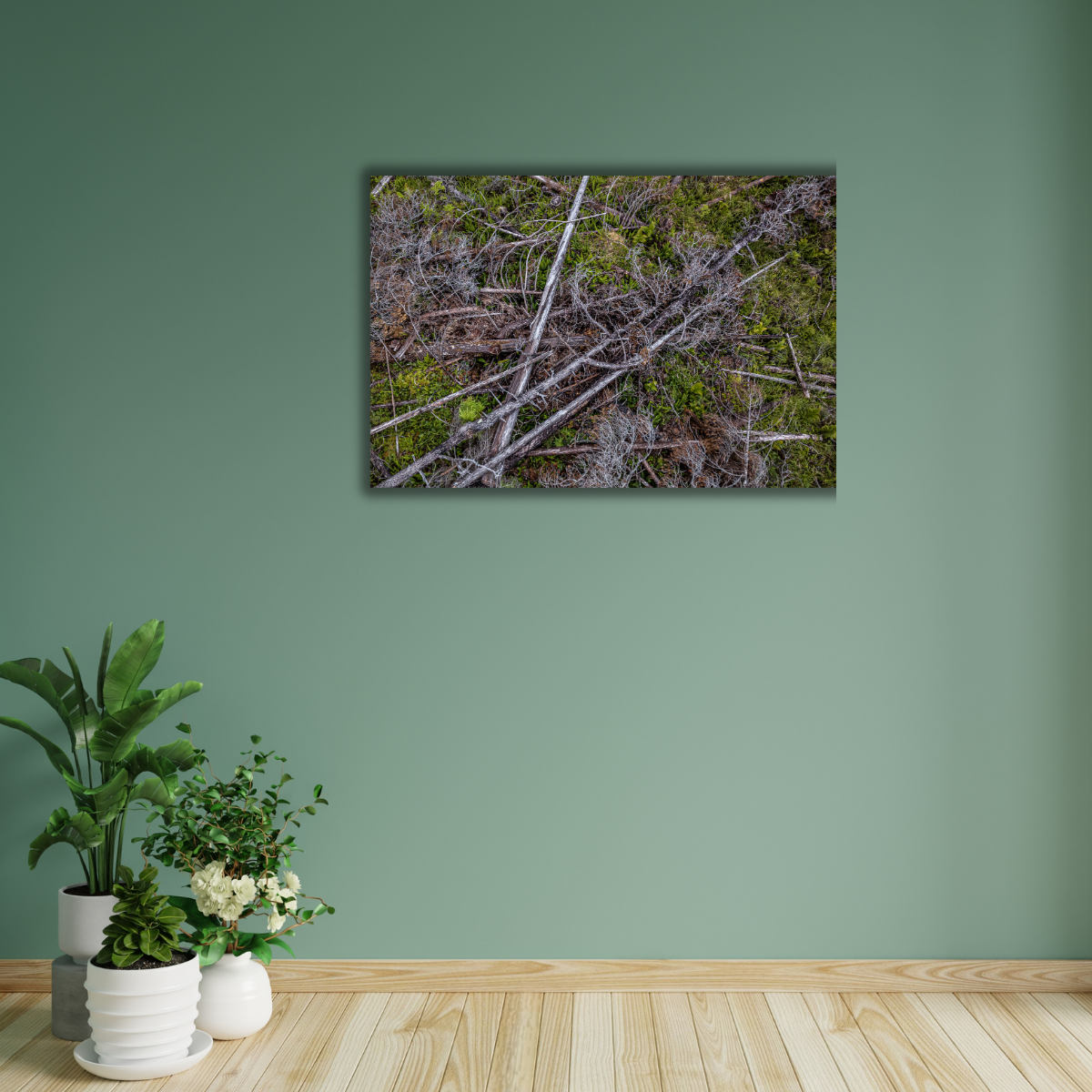 Abholzung Kanada (Leinwandprint 60x90cm)